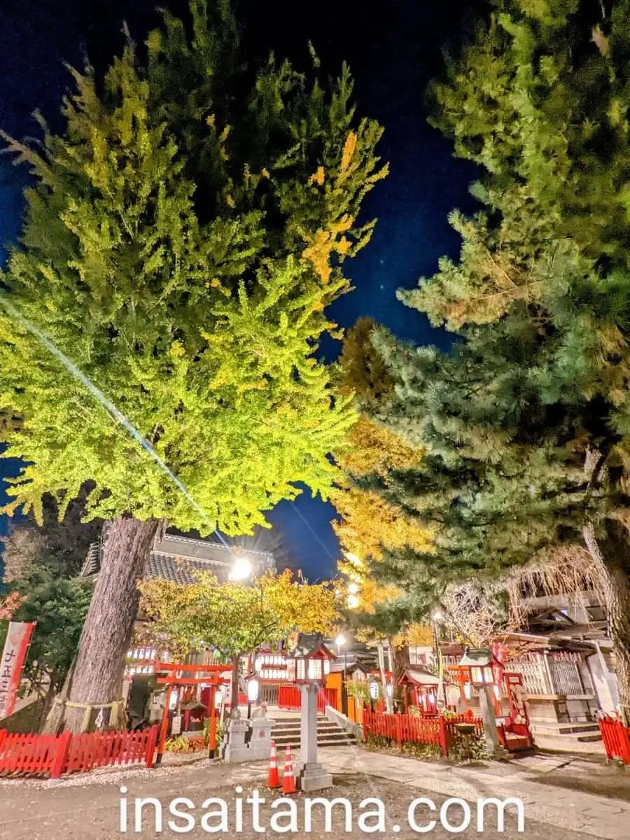 ⛩️ 코우 신사 (코우 진자)